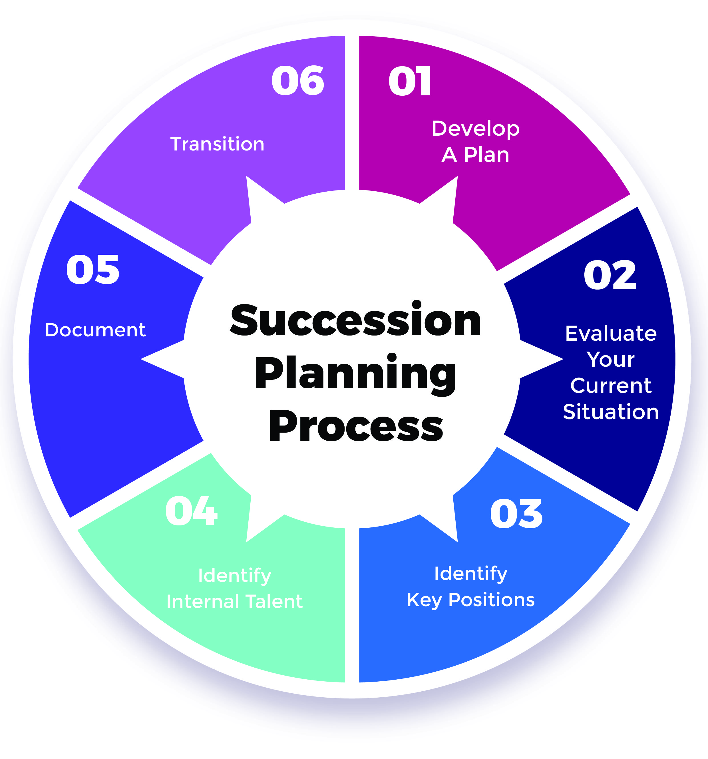 Professional and Organizational Development in Succession Planning ...