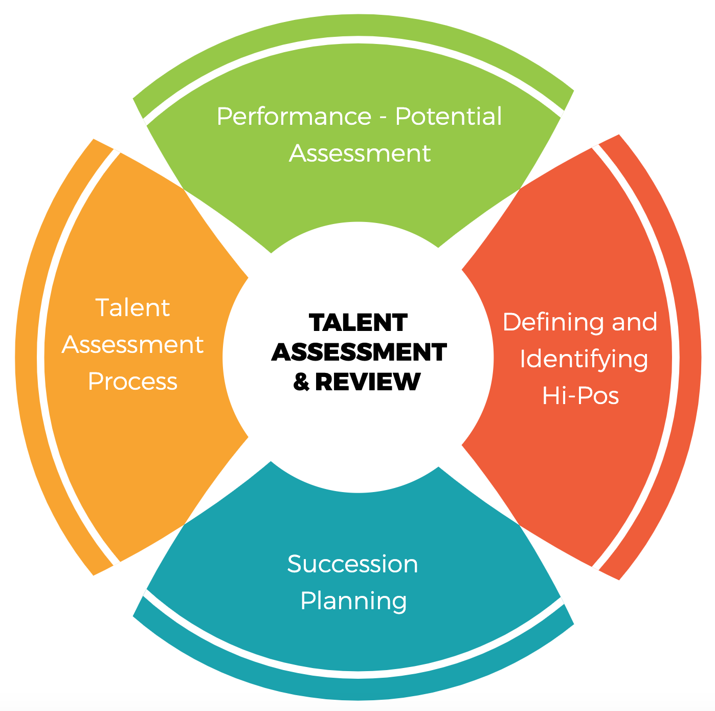HR Talent Review Analytics: Everything You Need to Know Shrofile