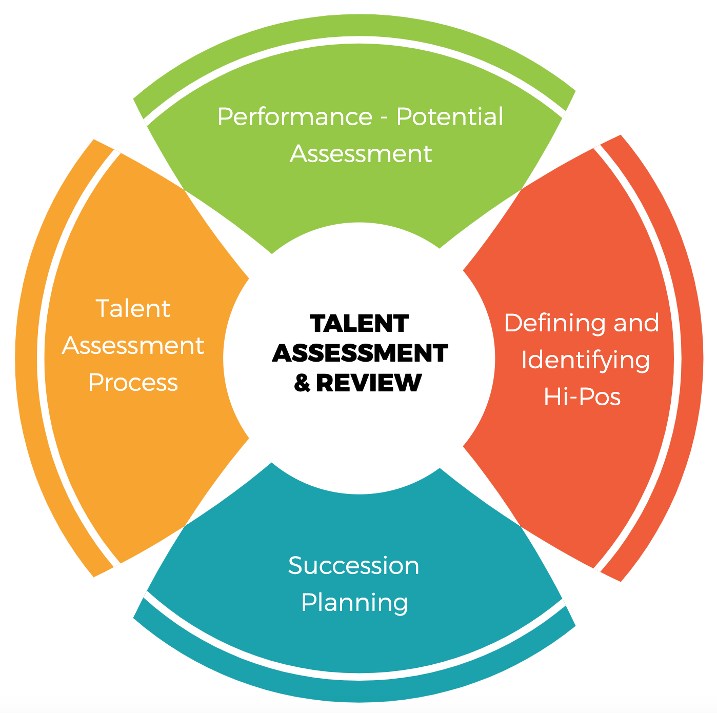 HR Talent Review Analytics Everything You Need To Know Shrofile